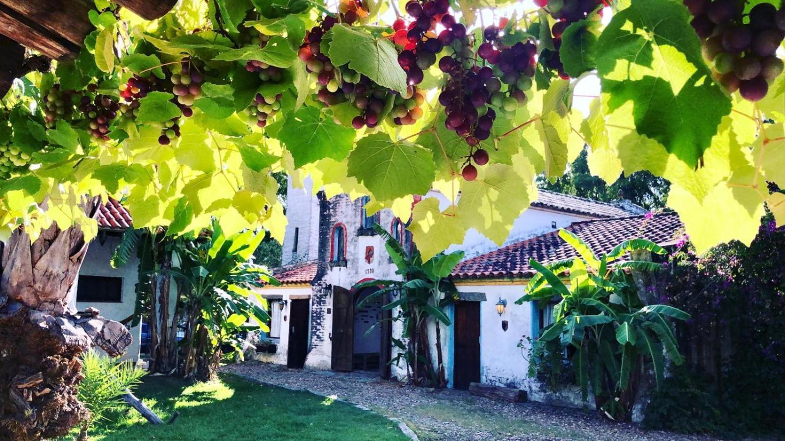 Pinos De La Quebrada Villa Quebrada de los Cuervos Екстериор снимка